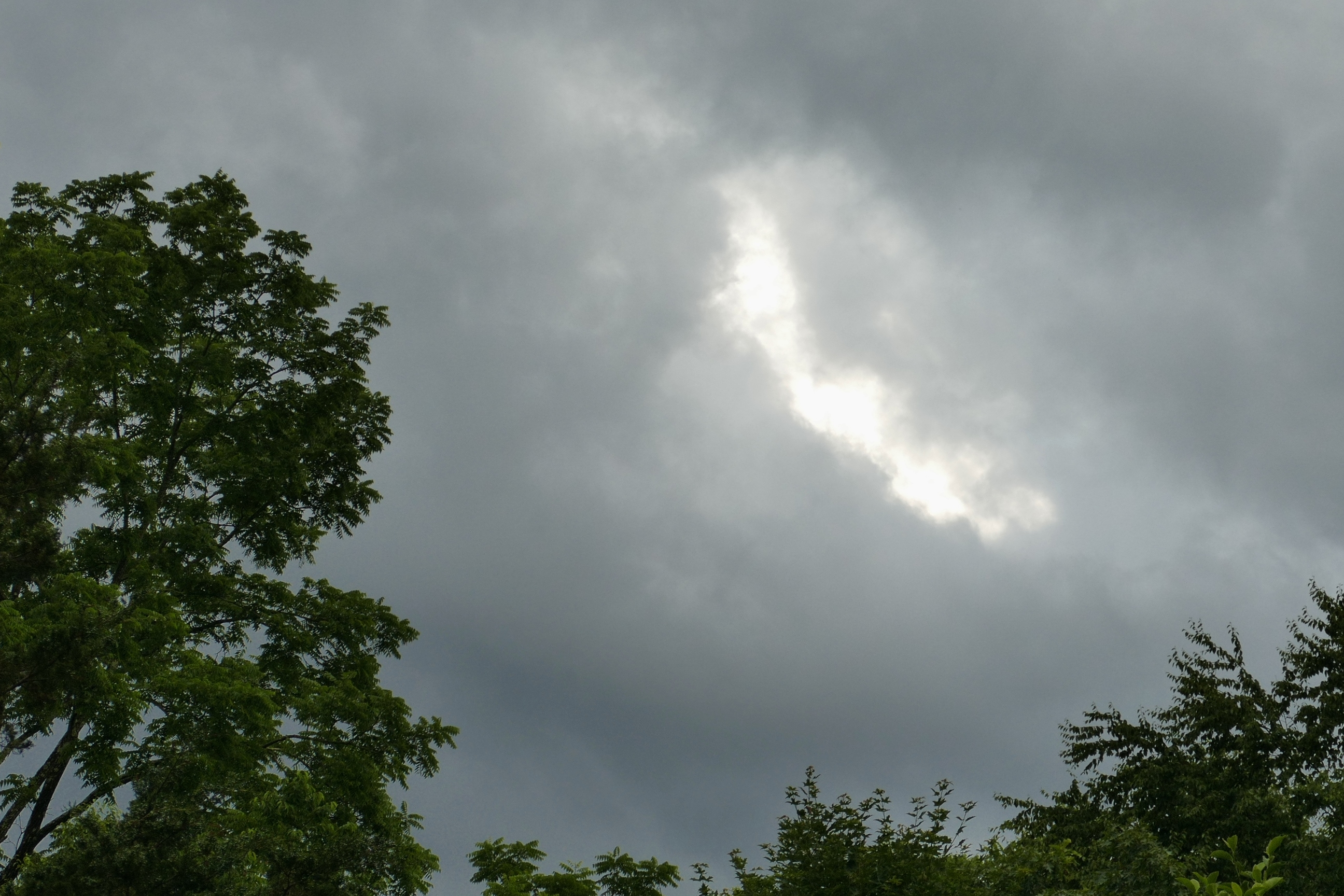 20 Poems by Tom Crider
